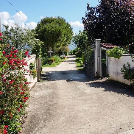 La Staccionata Villa Arpino Exterior photo